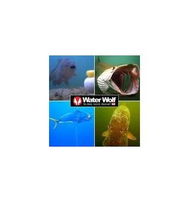 Caméra Sous-Marine Water Wolf
