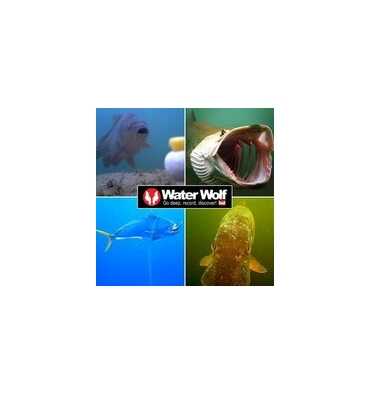 Caméra Sous-Marine Water Wolf